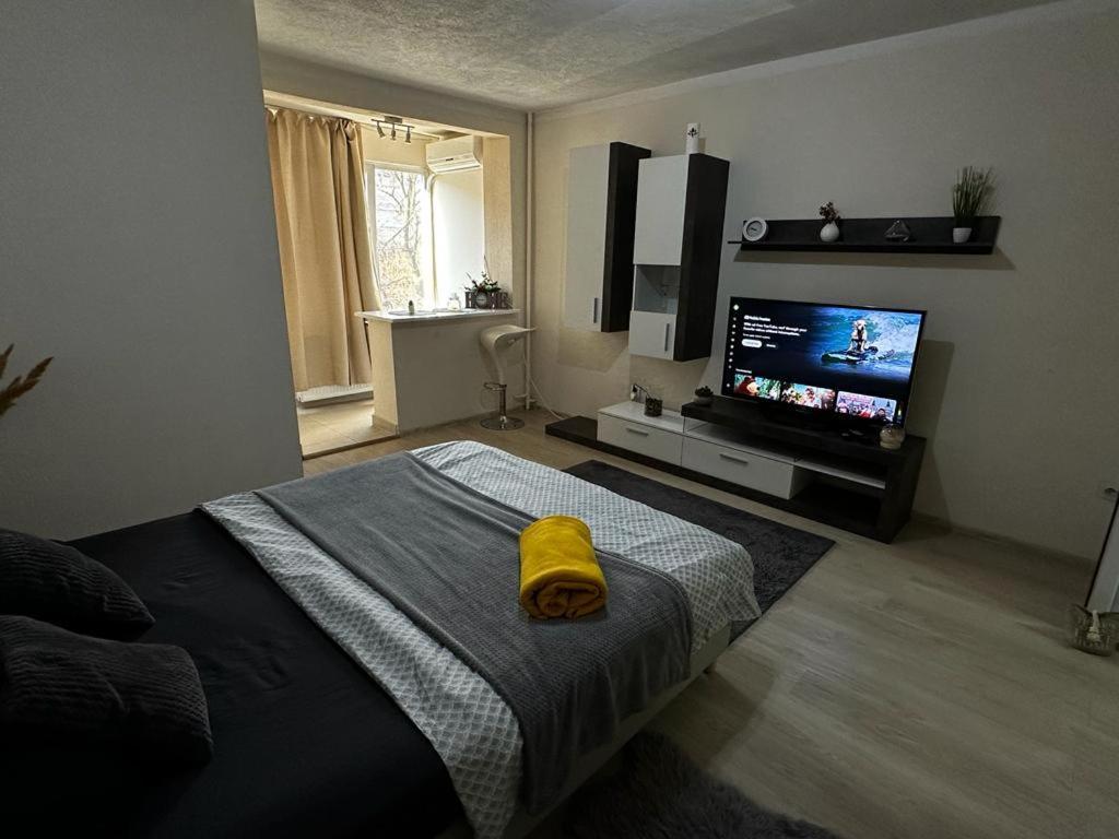 Reeas Apartament Temešvár Exteriér fotografie