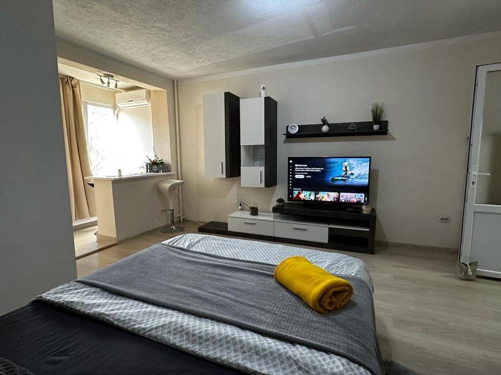Reeas Apartament Temešvár Exteriér fotografie