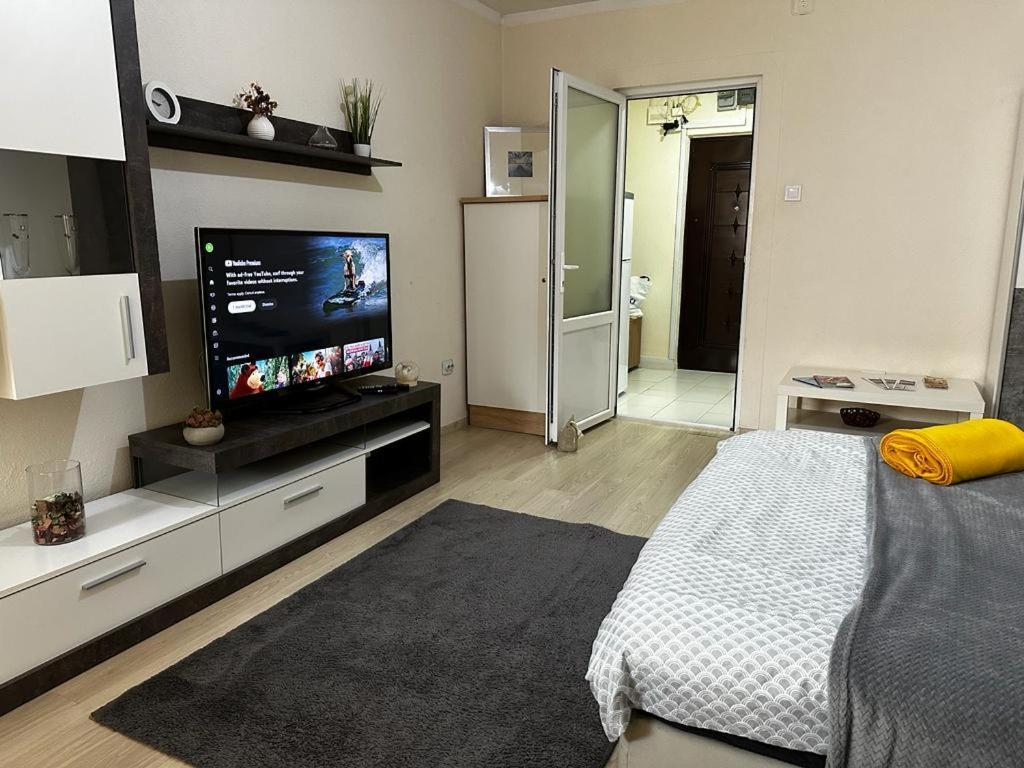 Reeas Apartament Temešvár Exteriér fotografie