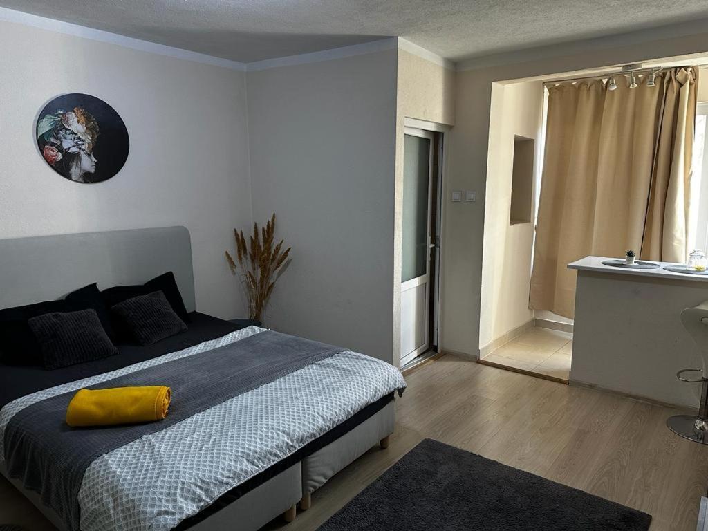 Reeas Apartament Temešvár Exteriér fotografie