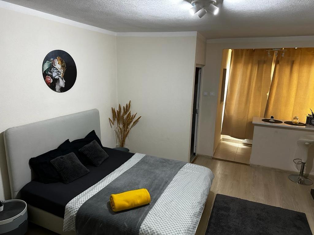 Reeas Apartament Temešvár Exteriér fotografie