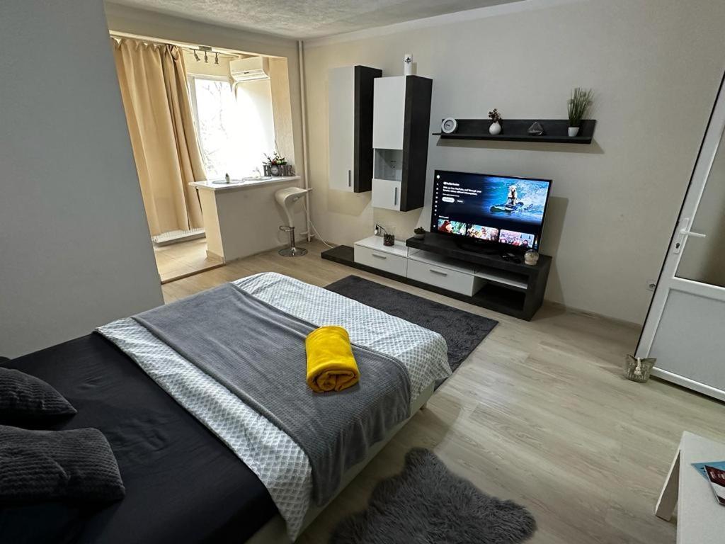 Reeas Apartament Temešvár Exteriér fotografie