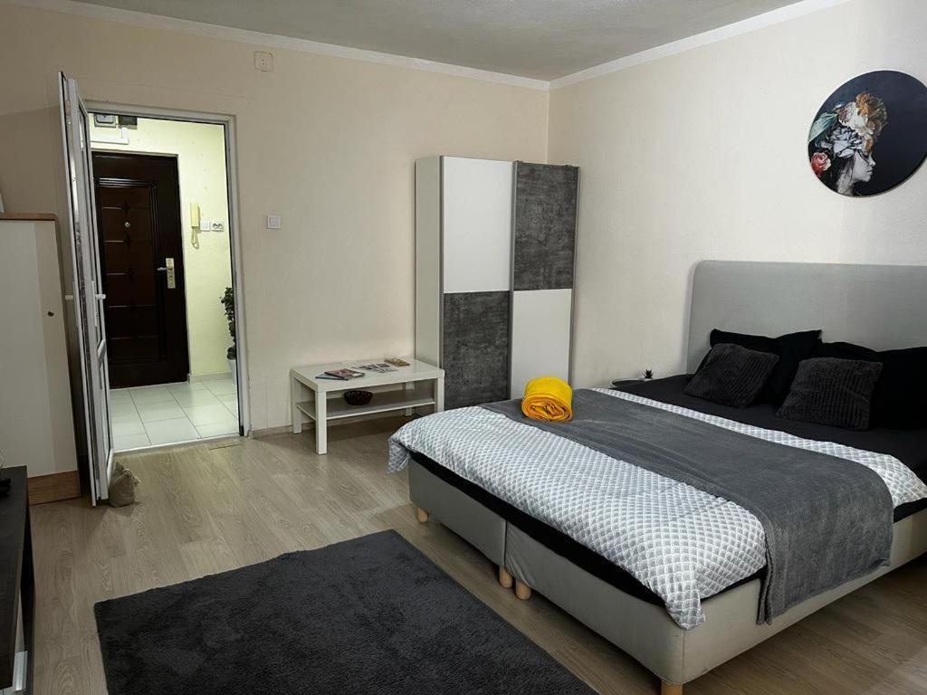 Reeas Apartament Temešvár Exteriér fotografie